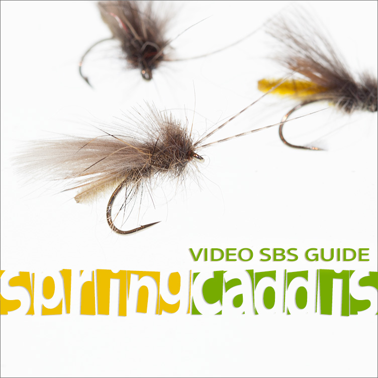 Step-by-Step Detached Body Caddis