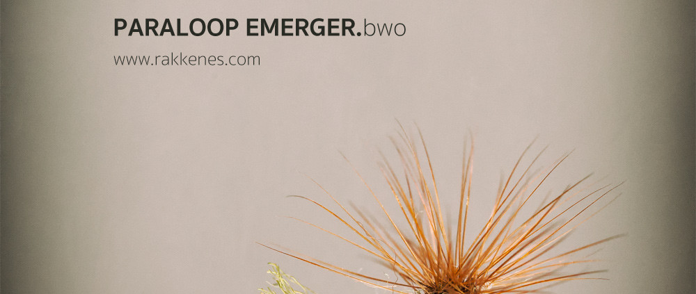 Paraloop BWO Emerger