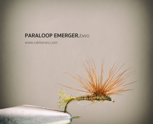 Paraloop BWO Emerger