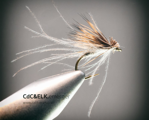 CdC and Elk Emerger