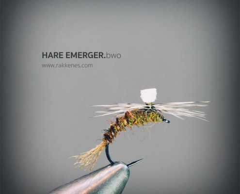The Hare BWO Emerger