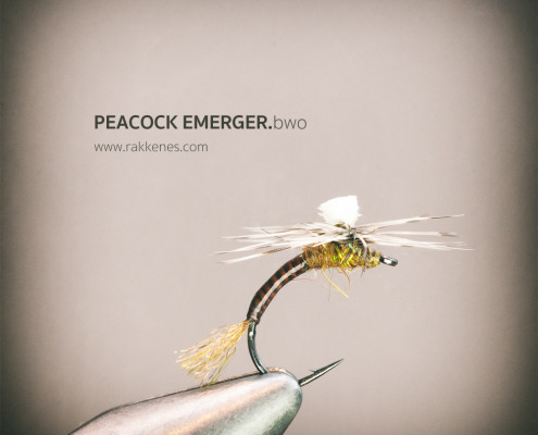 Peacock Mayfly Emerger