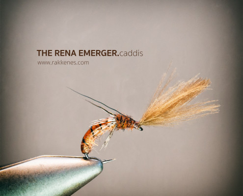 Rena Caddis Emerger