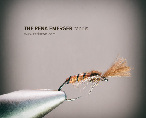 Rena Caddis Emerger