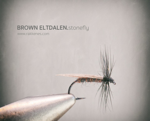 Brown Eltdalen Stonefly