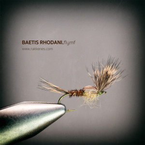 Baetis Flymph Emerger