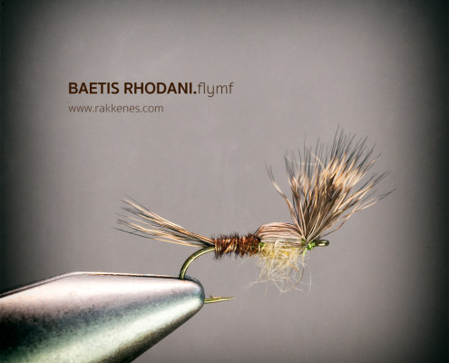 Baetis Flymph Emerger