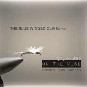 BWO Blue winged olive