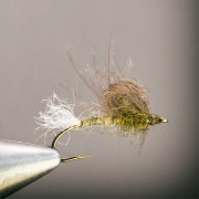 The BWO & Bubble Flymf