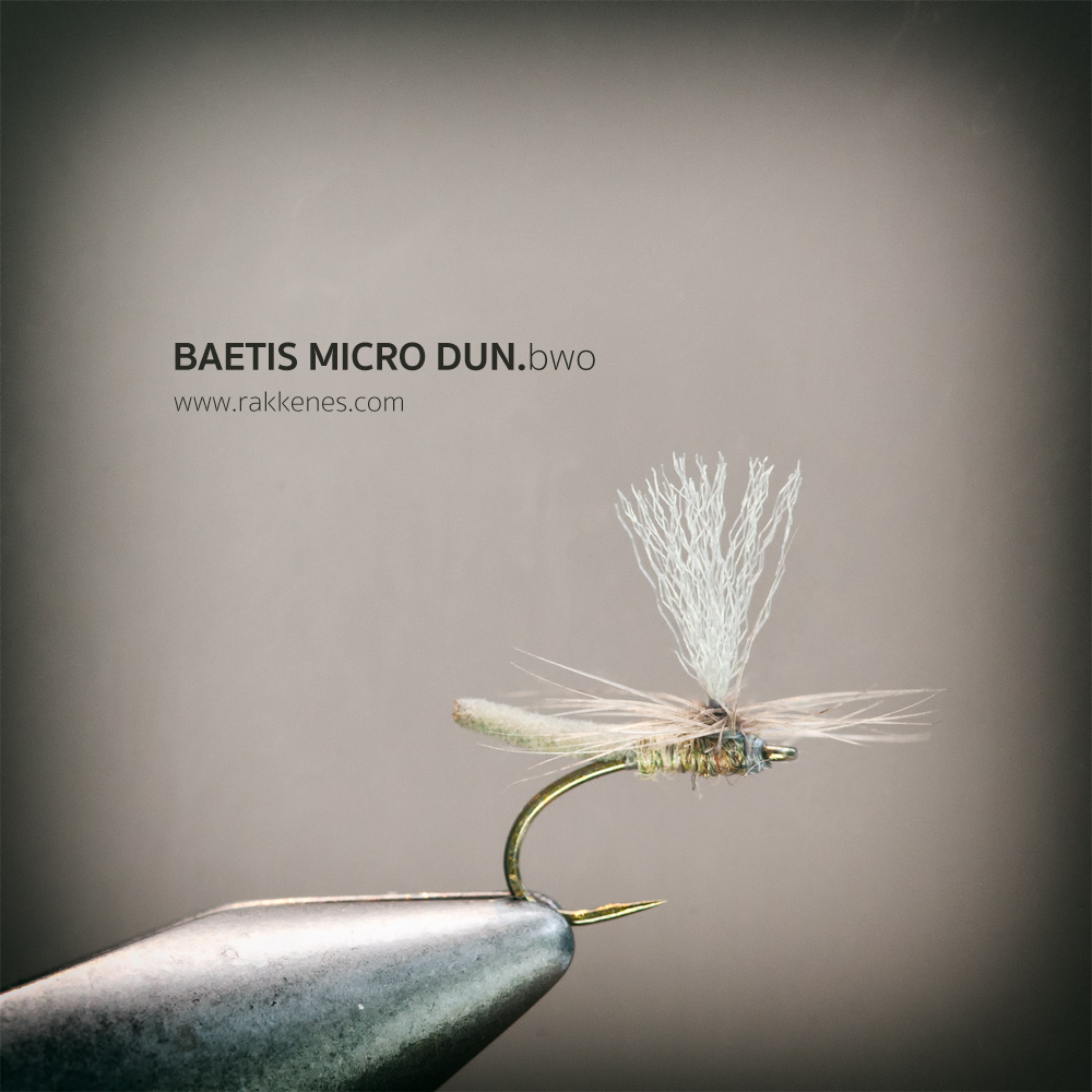 Baetis Micro Dun