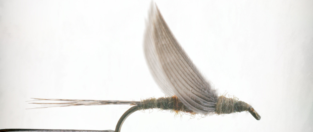 Five Principles for tying a BWO Dun