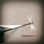 THE DIAMOND QUILL SPINNER