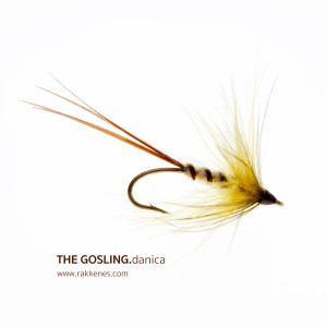 Mayfly Gosling - Danica variant