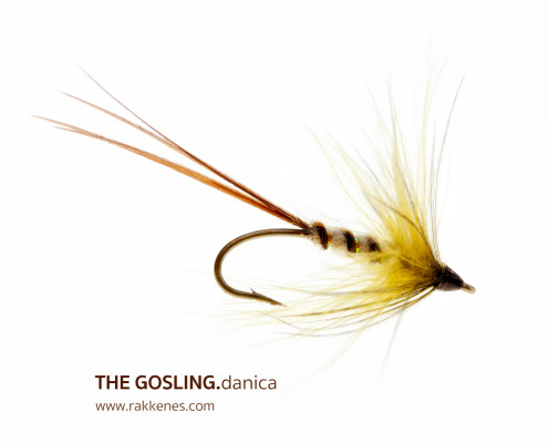 Mayfly Gosling - Danica variant