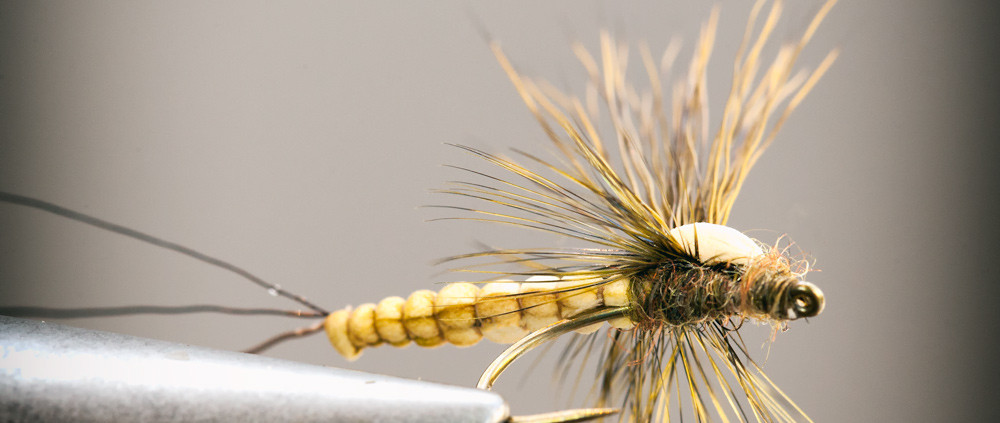 The Mohican Mayfly