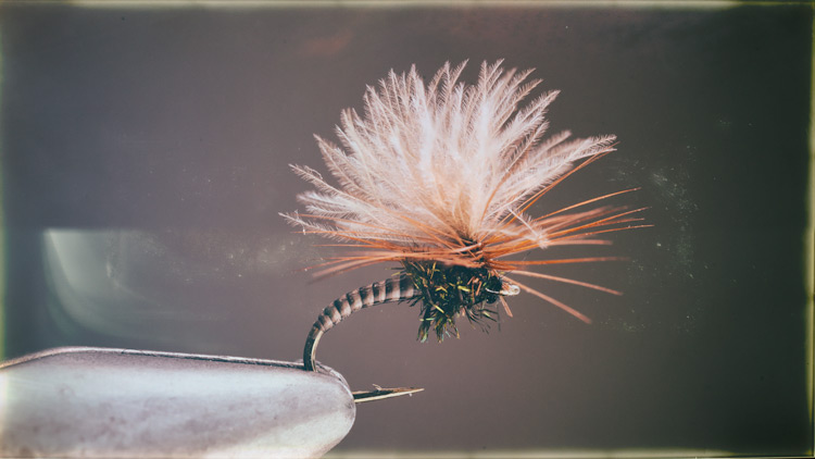 Puff Wing Midge Buzzer