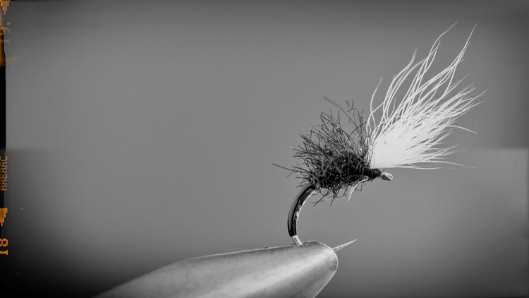 Rabbit Midge Emerger