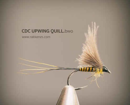 BWO Quill and CdC