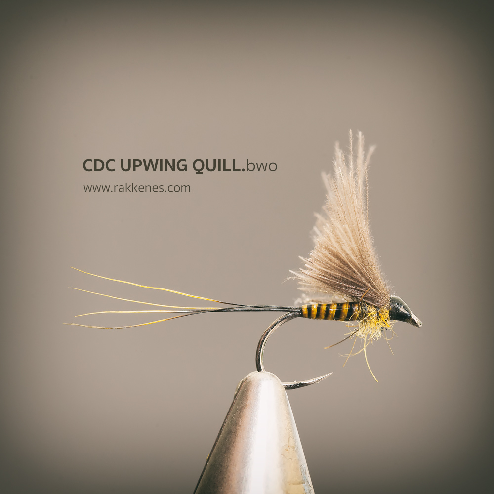 BWO Quill and CdC