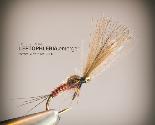 Leptophlebia Vespertina Emerger