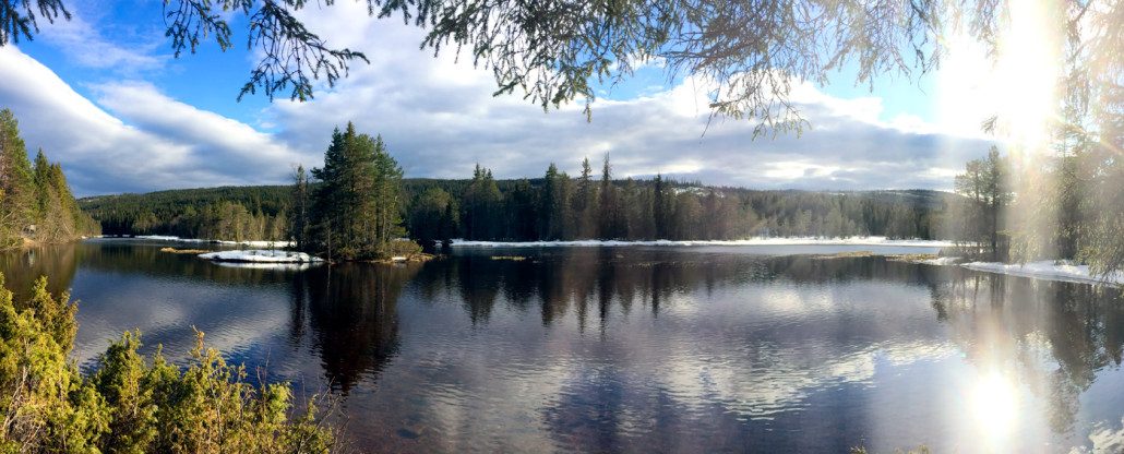 Spring Flyfishing