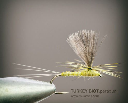 Turkey Biot BWO