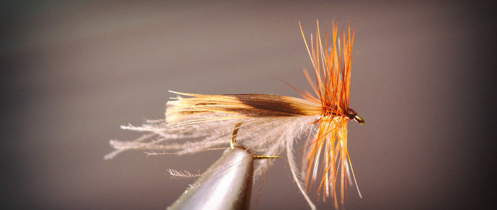 Europea Caddis Variant