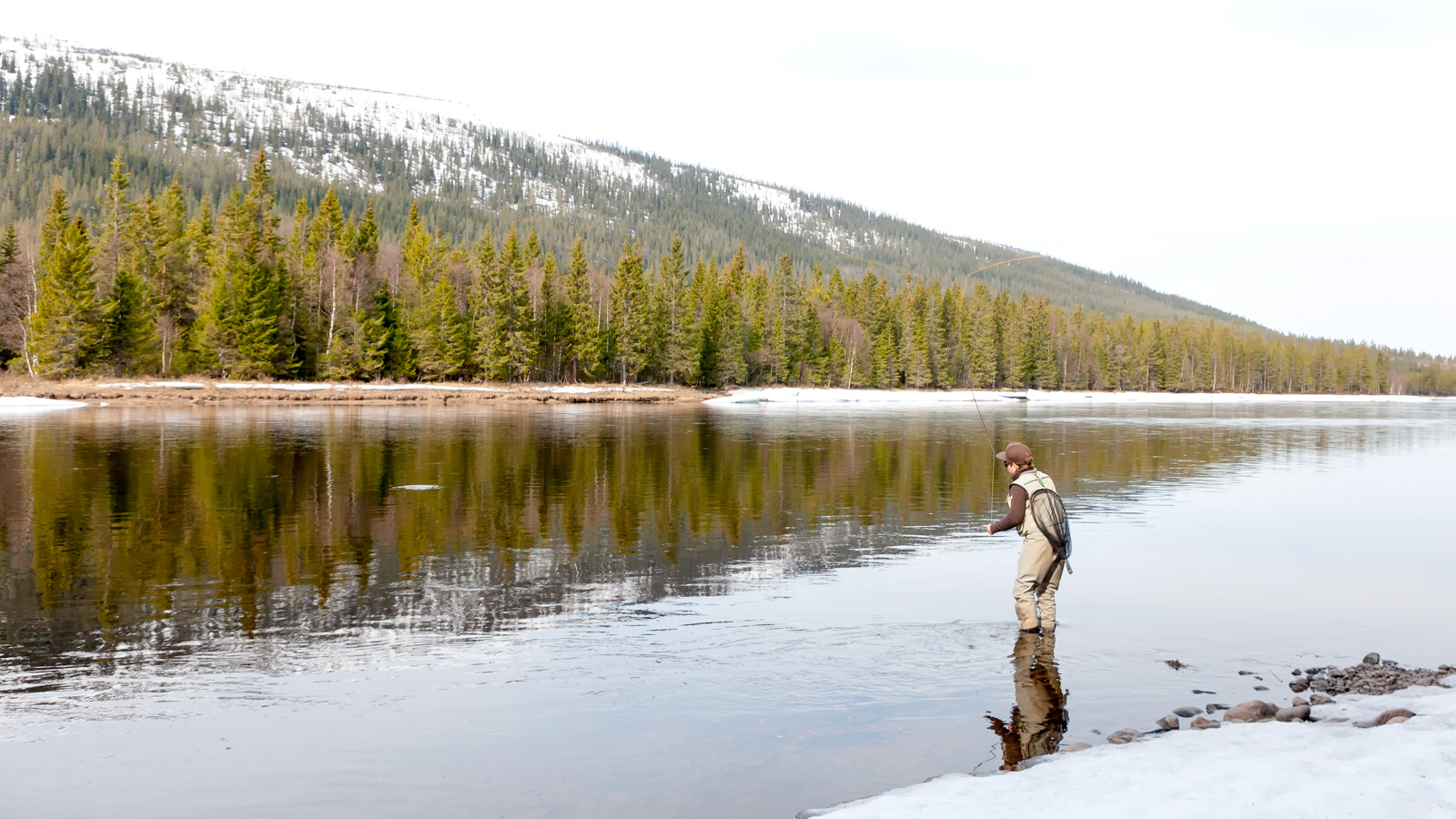 Stonefly and Caddis in May