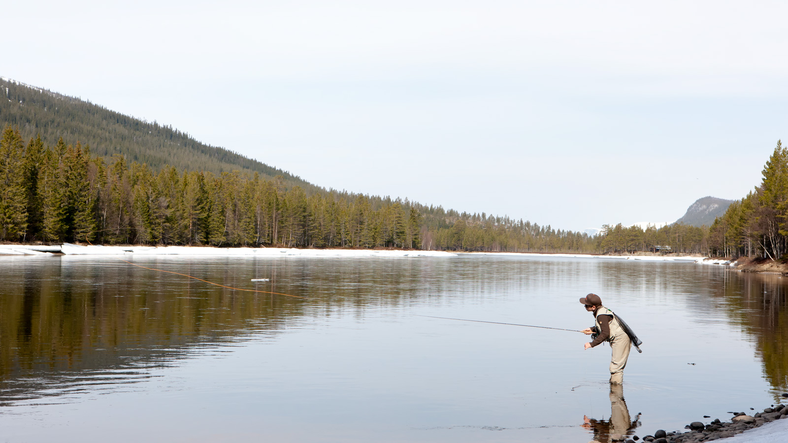 Stonefly and Caddis in May