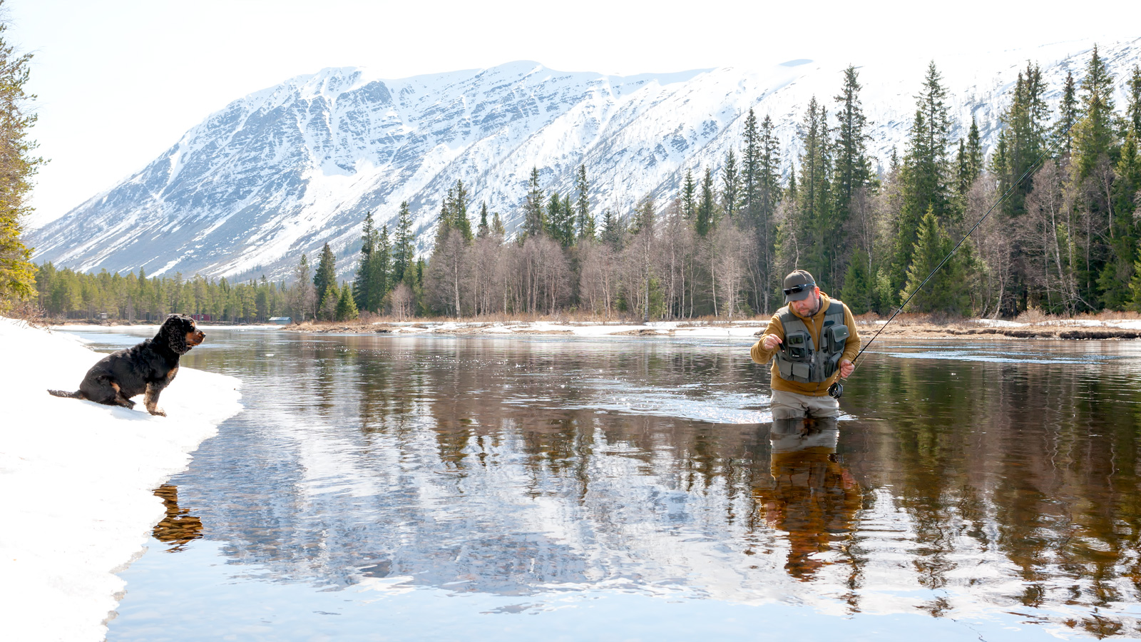 Stonefly and Caddis in May