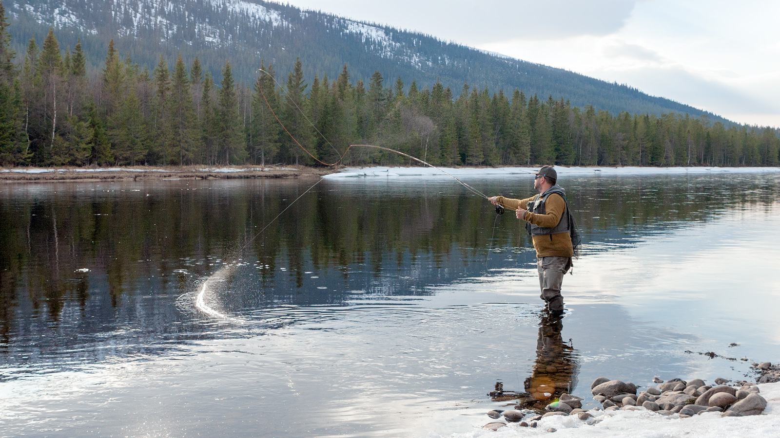 Stonefly and Caddis in May