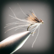 THE CdC & ELK EMERGER