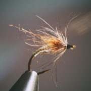 Emerger Attractor Grayling