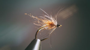 Emerger Attractor Grayling