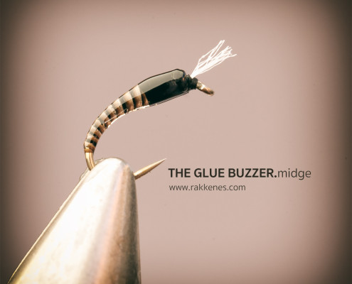 Glue Buzzer