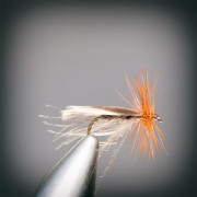 THE RIVENDALE CADDIS