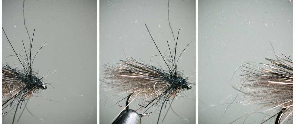 Stonefly Caddis