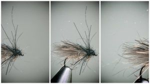 Stonefly Caddis