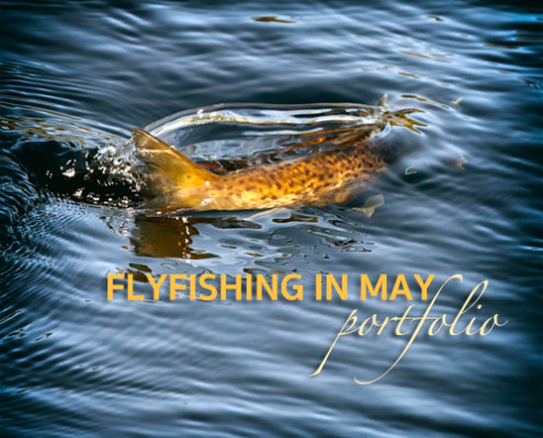 Flyfishing in May