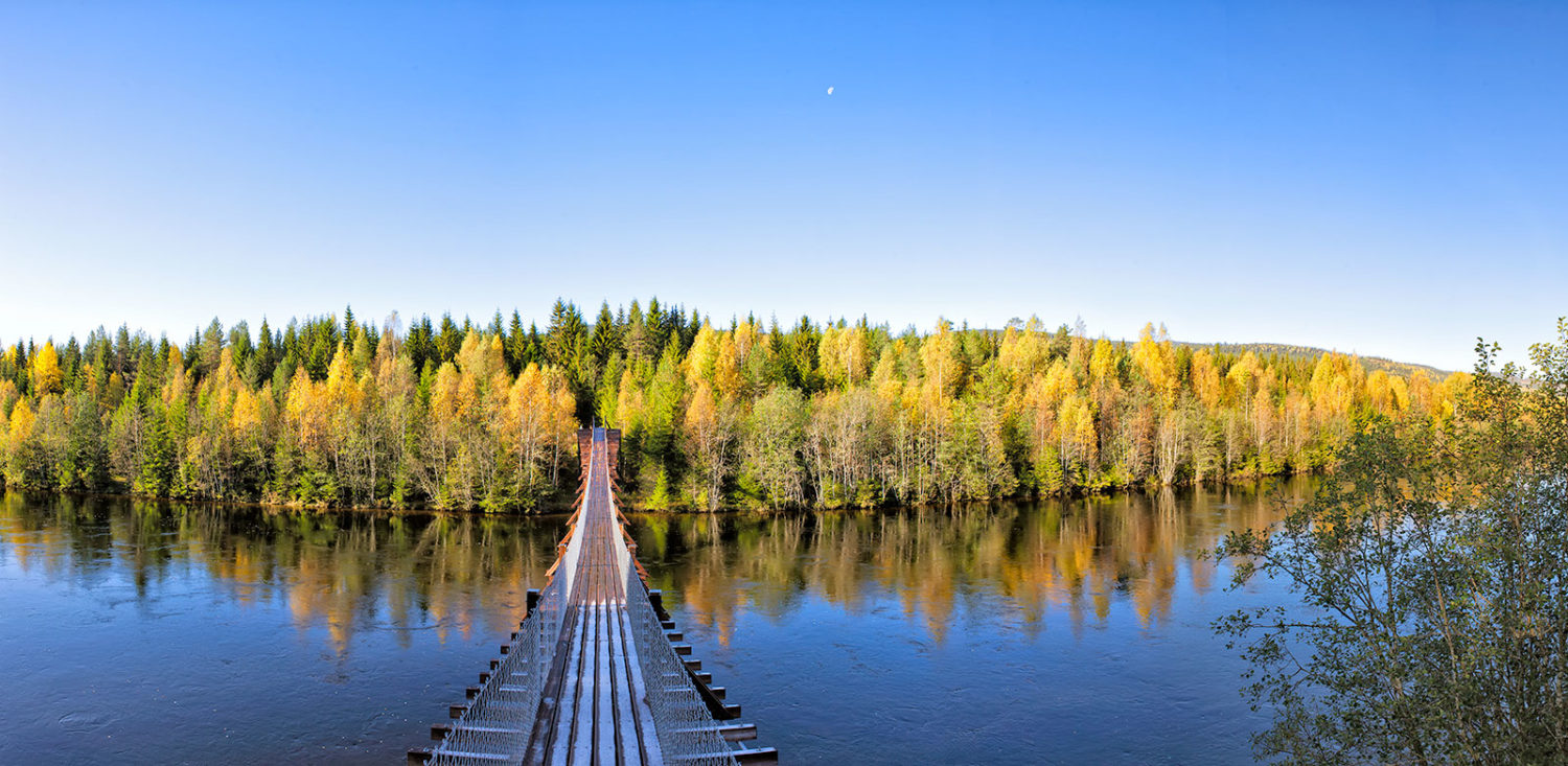 The Suspension Bridge at Rena River