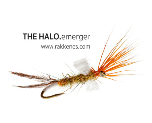 Mayfly Halo Emerger