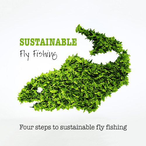 Sustainable Fly Fishing