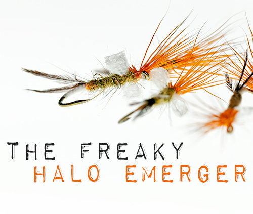 Halo Mayfly Emerger