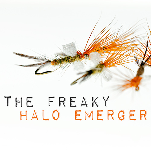 Halo Mayfly Emerger