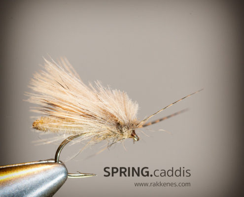 Detached Body Caddis