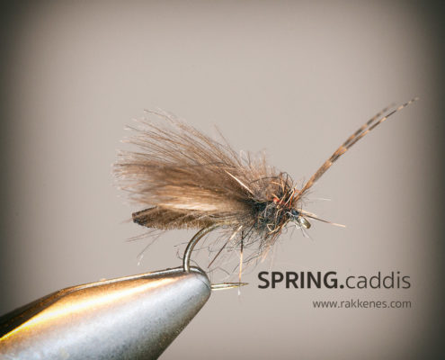 Detached Body Caddis