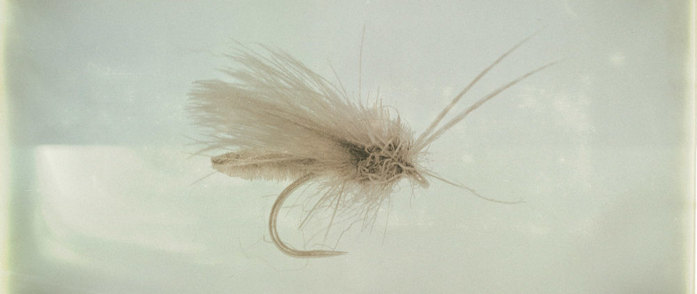 Detached Body Caddis