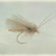 Detached Body Caddis