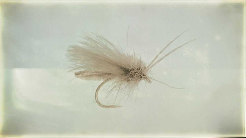 Detached Body Caddis