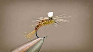 Hare BWO Emerger